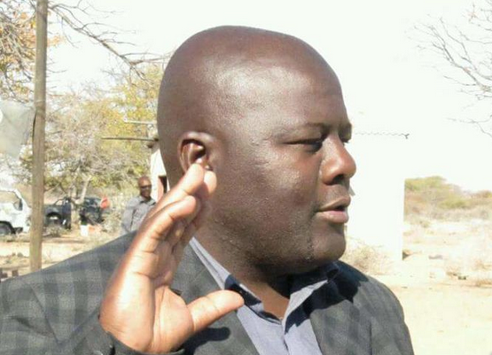 The brave few MPs resisting Zanu PF's brazen power grab